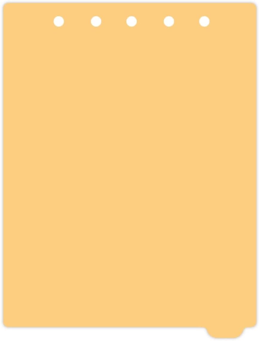 Carstens - Heavy Duty Plastic Ring Binder Dividers, Bottom Tab, 1/9 Cut, Tab 9 Position, US Letter, Pale Orange, Pack of 10, (2619-18) - Ideal Medical Chart Dividers or Index Tabs for 3 Ring Binders