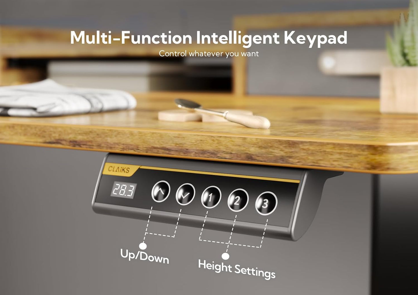 YDN Rustic Brown 2-Tier Adjustable Electric Standing Desk, 63 inch, Modern Design with 2 Drawers, Felt Fence, Hook, for Office