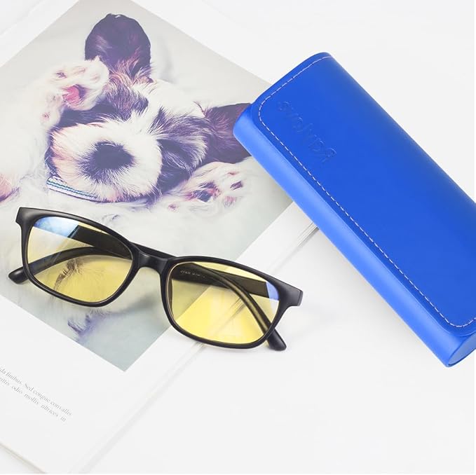 RayLove Hard Shell Glasses Case, Lightweight Leather Eyeglass Case, Travel-Friendly Sunglasses Protector for Men & Women