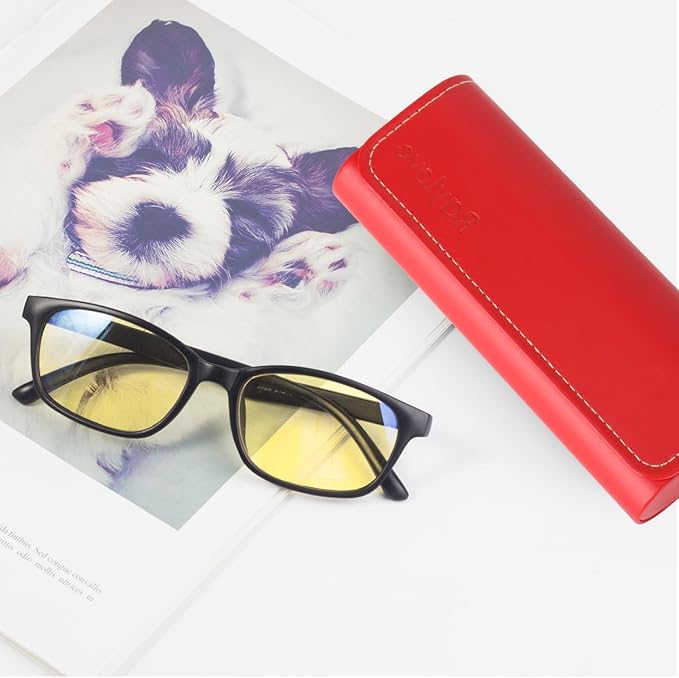 RayLove Hard Shell Glasses Case, Lightweight Leather Eyeglass Case, Travel-Friendly Sunglasses Protector for Men & Women