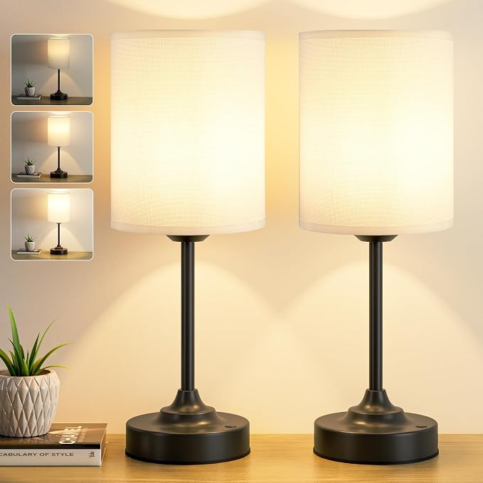 Touch Control Cordlss Table Lamp, USB-C Rechargeable Lamp with Stepless Dimming, 4000mAh Battery Operated Bedside Lamp for Bedroom, Living Room, Night Light & Emergency Lighting, Black, 2 Pack