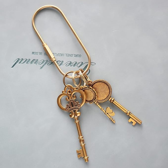 Carabiner Keychain Clip with Lock, Gold Key Chain Rings, Purse Bag Charms | Durable Carabiner for Keys, Brass Screw Lock Key Holder, Anti-Lost Oval Keyring Clip, Large Capacity Key Holder for Handbag