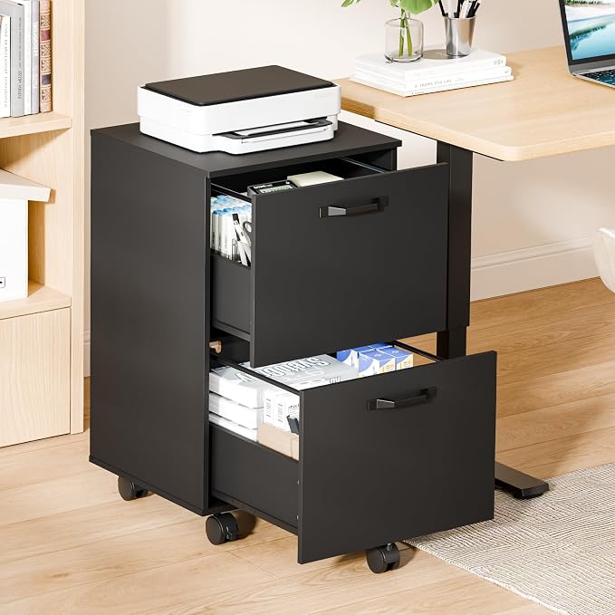 OLIXIS 2 Drawer File Cabinet, Printer Stand with Storage Cabinet | Wood Under Desk Storage Organization Holds Printer, Office Supplies, Not For Hanging Files, Fit Home Office Black