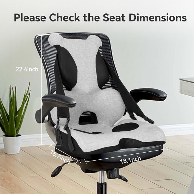 Lumbar Support Pillow Memory Foam, Car Seat Cushion, Office Chair Cushion, One Piece Chair Pad, Improve Posture, Sciatica, Hip & Back Coccyx Tailbone Pain