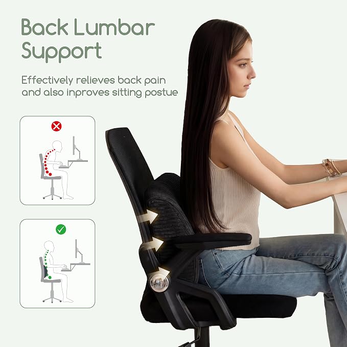 HIGOGOGO Lumbar Support Pillow for Recliner Chair/Accent Chair/Couch, Large Memory Foam Back Support Cushion for Elderly, Recliner Cushions for Back Rest, Pain Relief, Reading, Washable Cover, Black