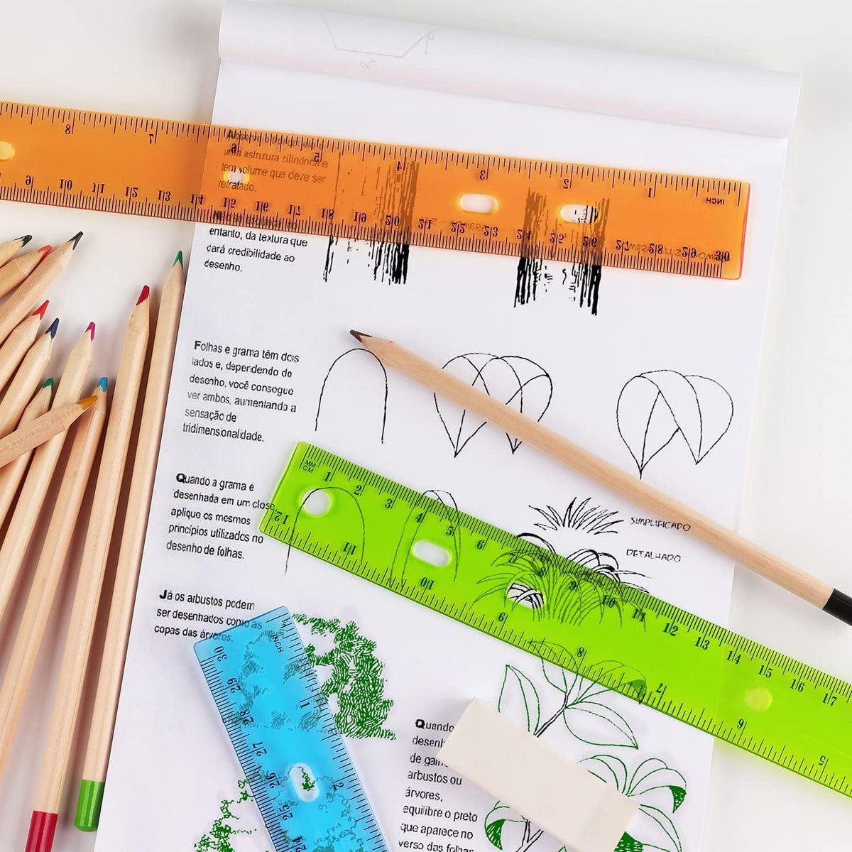 ZZTX 6 Pack Color Transparent Ruler Plastic Rulers 12 Inch, Metric Bulk Rulers with Inches and Centimeters, Kids Ruler for School, Home, Office