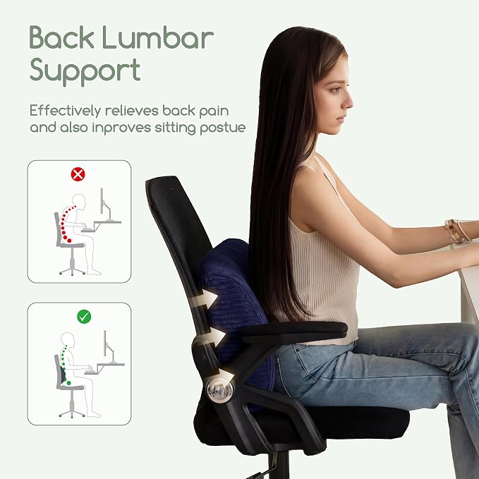 HIGOGOGO Lumbar Support Pillow for Recliner Chair/Accent Chair/Couch, Large Memory Foam Back Support Cushion for Elderly, Recliner Cushions for Back Rest, Pain Relief, Reading, Washable Cover, Navy