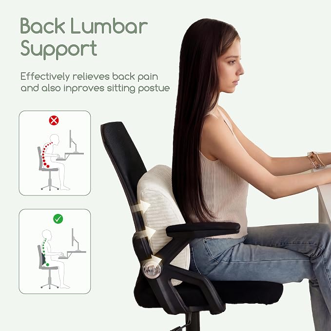 HIGOGOGO Lumbar Support Pillow for Recliner Chair/Accent Chair/Couch, Large Memory Foam Back Support Cushion for Elderly, Recliner Cushions for Back Rest, Pain Relief, Reading, Washable Cover, Beige