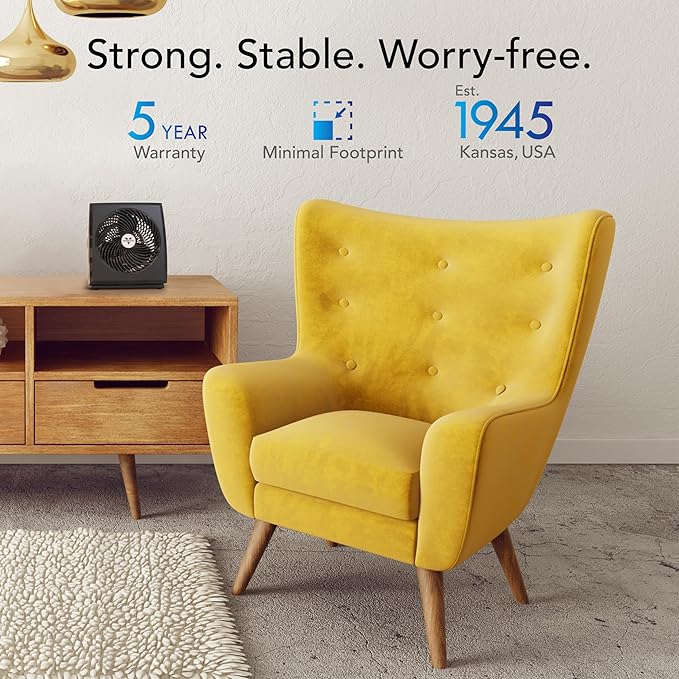 Vornado 573T Small Room Air Circulator Fan with Pivoting Head, Easy Clean Removable Grille, 3 Speed Settings, Black (Pack of 3)