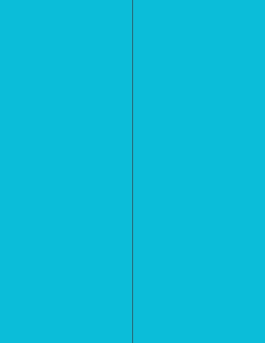 NextDayLabels - 8-1/2 x 11 Neon Color High Light Fluorescent Labels for Laser & Inkjet Printer (Blue Fluorescent, 4-1/4" x 11" - 2 Per Page | 200 Labels)