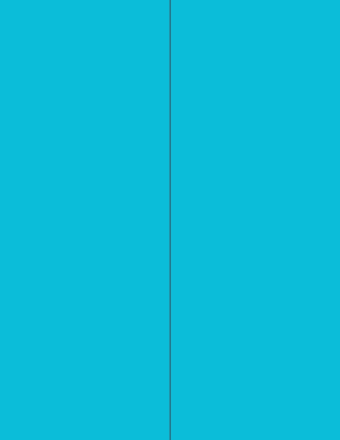 NextDayLabels - 8-1/2 x 11 Neon Color High Light Fluorescent Labels for Laser & Inkjet Printer (Blue Fluorescent, 4-1/4" x 11" - 2 Per Page | 50 Labels)