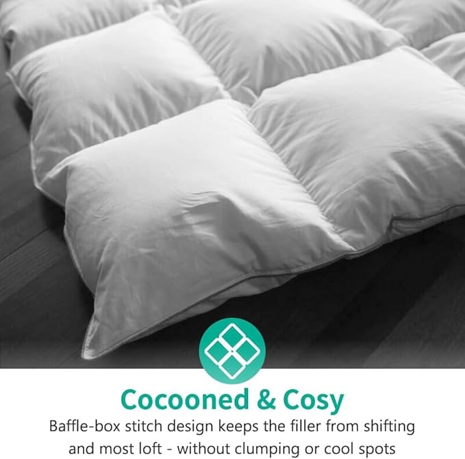 APSMILE Queen Size Heavyweight Down Feather Fibers Comforter for Winter Weather/Sleeper - Ultra-Soft High Fill-Power Duvet Insert, 55 Oz Fluffy Thicker Hotel Collection Comforter (90x90, Solid White)