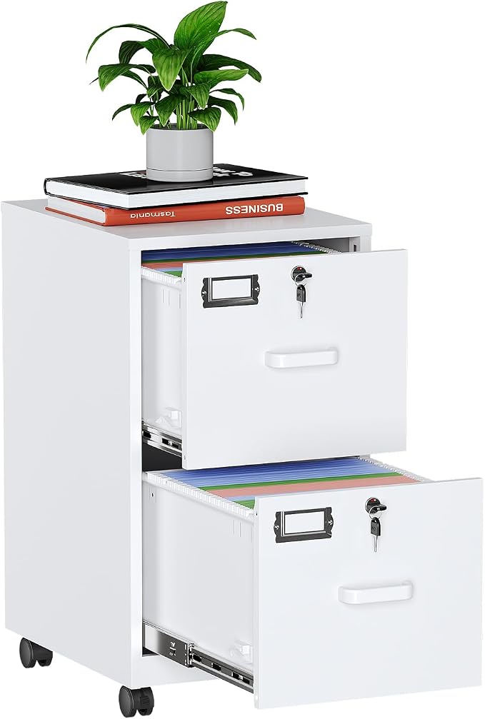 MIIIKO 2 Drawer File Cabinet with Lock, Metal Vertical Filing Cabinets for Home Office, Lockable File Storage Cabinets Under Desk, A4/Letter File Folders Storage-Assembly Required