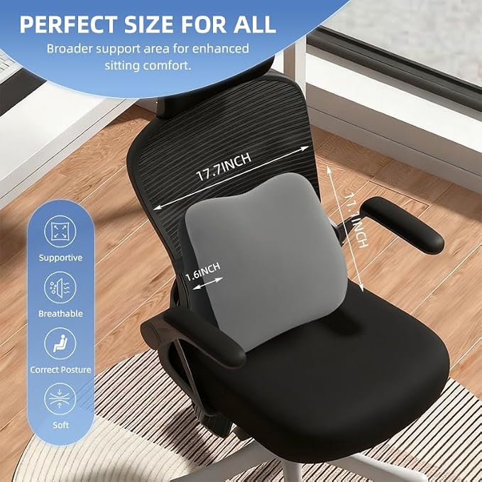 Lumbar Support Pillow for Office Chair, Memory Foam Lumbar Pillow for Lower Back Pain Relief (xiaoyaokaoGrey)