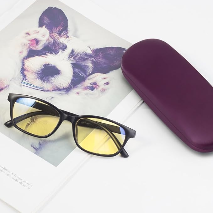 RayLove Unisex Hard Shell Eyeglasses Cases, Protective Case For Glasses