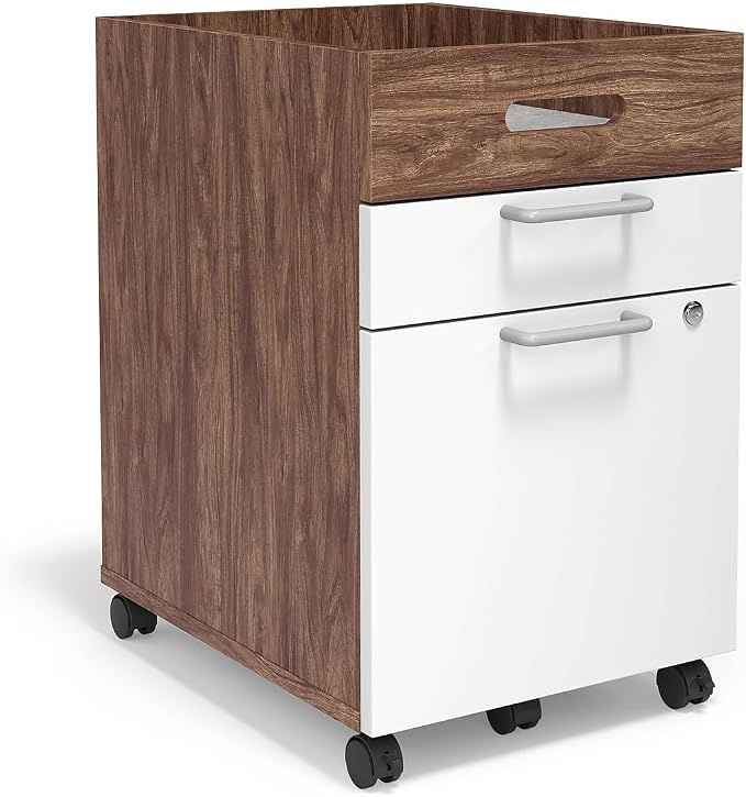 Union & Scale 2 Drawer Mobile File Cabinet, Rolling Printer Stand, Vertical Filing Cabinet, Office Drawers, Filing Cart for Home Office, A4/Letter Size, Black and Rustic Brown BFK20WJ01