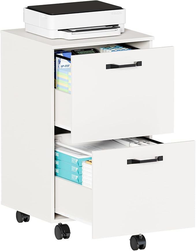 OLIXIS 2 Drawer File Cabinet, Printer Stand with Storage Cabinet | Wood Under Desk Storage Organization Holds Printer, Office Supplies, Not For Hanging Files, Fit Home Office White