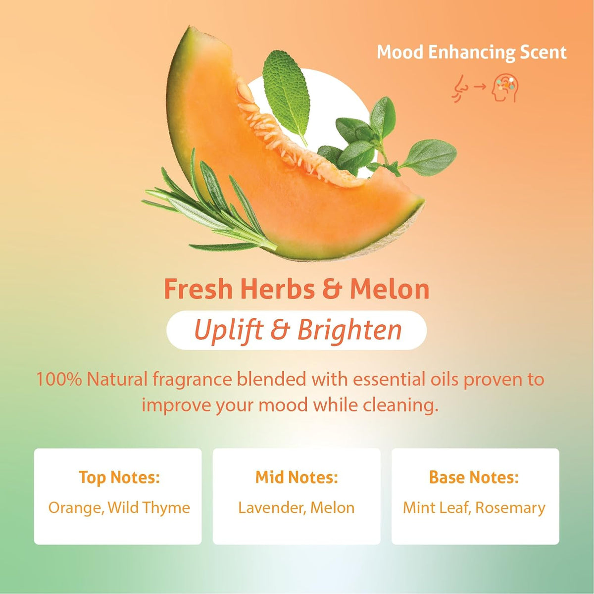 Therapy Clean All Purpose Cleaning Spray - Fresh Herbs & Melon 24 fl. oz - 100% Natural Scent, Kitchen Surface Counter, Surface Cleaner, Non Toxic All Purpose Cleaner Spray