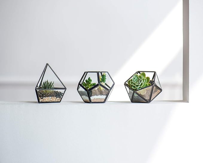 Mkono Artificial Succulent in 3 Pack Mini Glass Geometric Terrarium, Miniature Potted Faux Plant Bookshelf Desk Boho Office Room Decor for Women Girls Dorm Gift Idea, Black