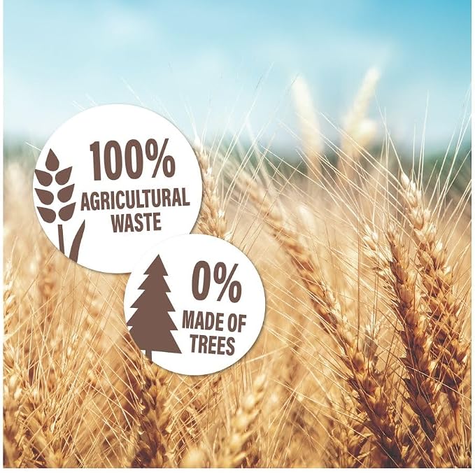Jalema Tree-Free Insertion Folders, Natural Beige | Holds up to 20 sheets, cardboard made from agricultural waste, natural beige, for office, school or presentations