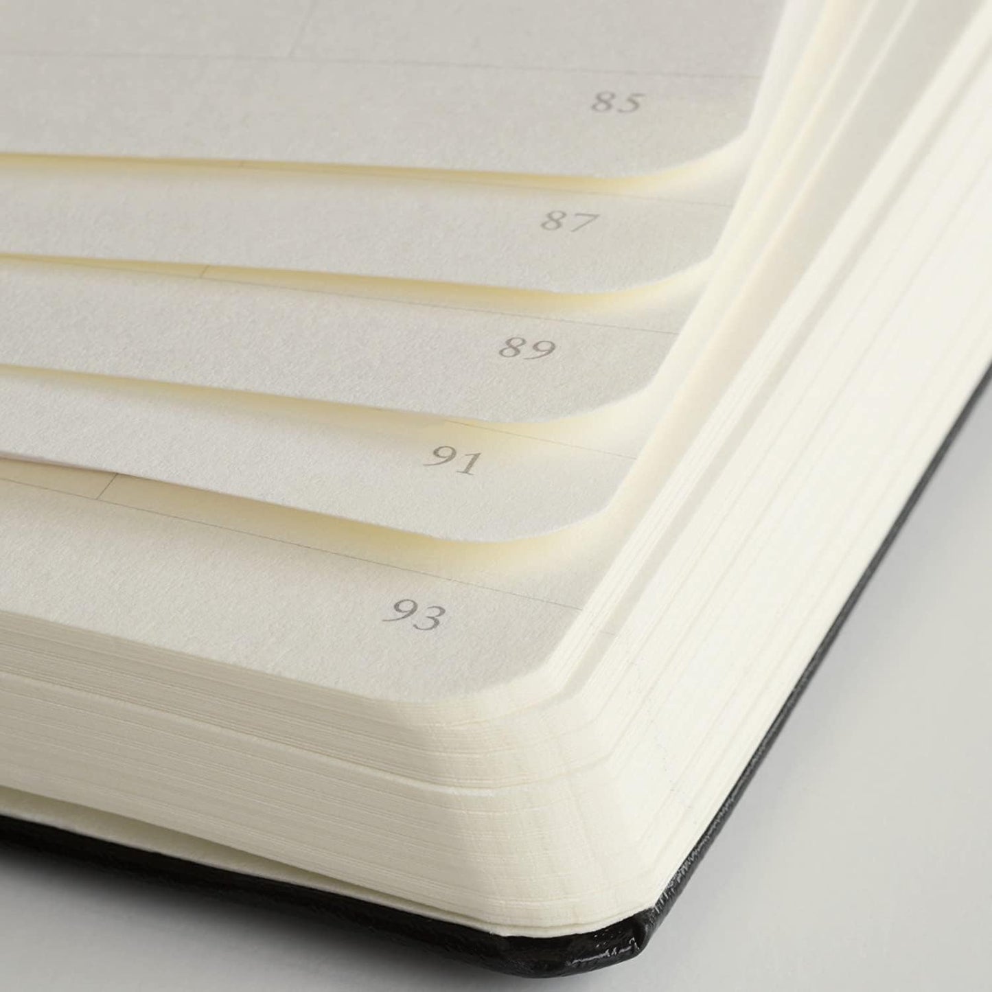 LEUCHTTURM1917 - Notebook Hardcover Medium A5-251 Numbered Pages for Writing and Journaling (Sage, Ruled)
