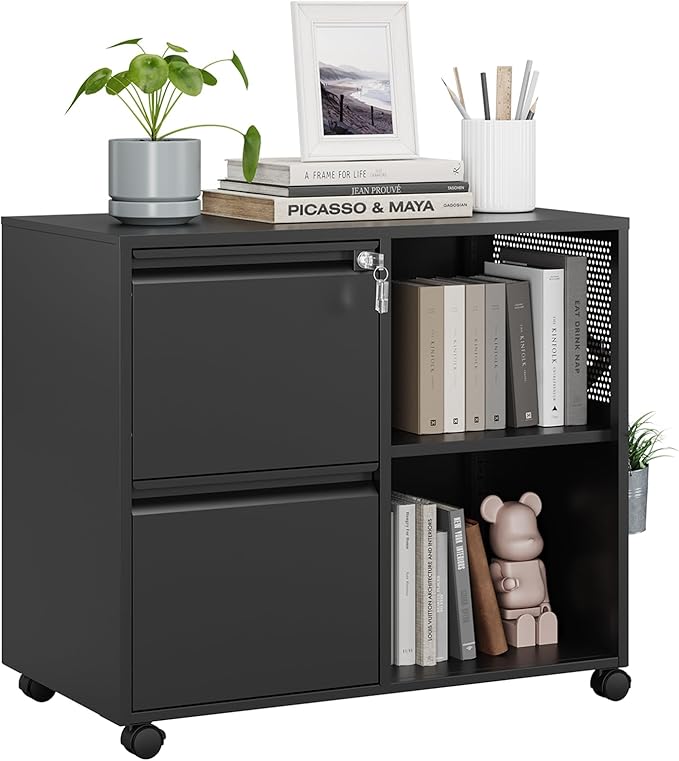 MIIIKO 2 Drawer File Cabinet with Lock, Metal Lateral Rolling Printer Stand Filing Cabinets with Drawers for Home Office,A4, Letter Size File Folders(Black)