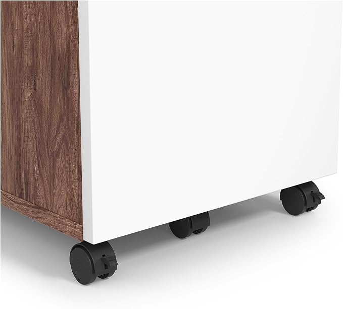 Union & Scale 2 Drawer Mobile File Cabinet, Rolling Printer Stand, Vertical Filing Cabinet, Office Drawers, Filing Cart for Home Office, A4/Letter Size, Black and Rustic Brown BFK20WJ01
