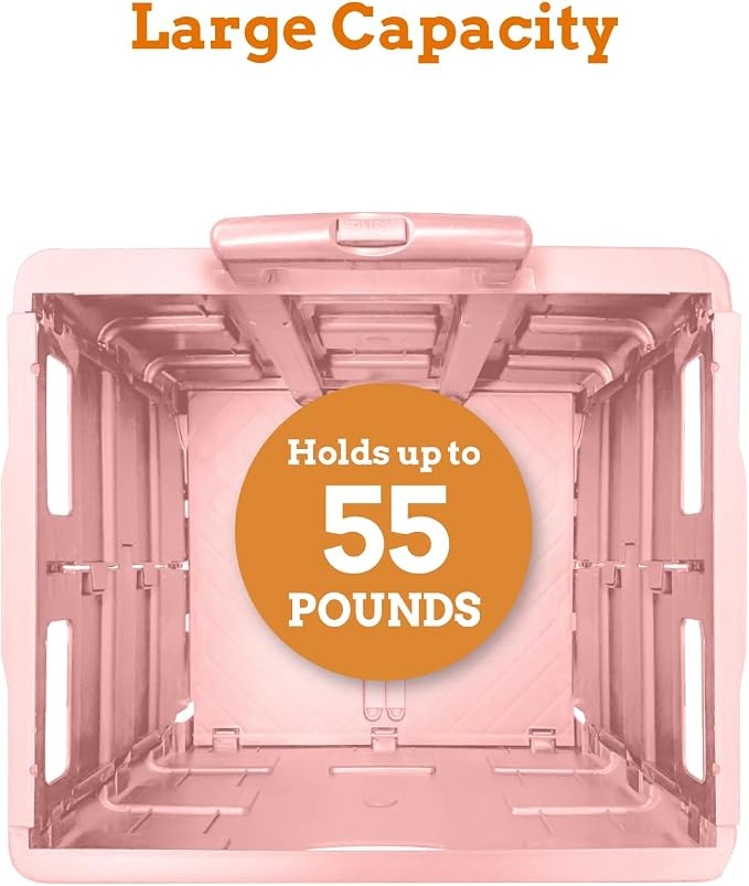 Ultra-Slim Rolling Collapsible Storage Pack-N-Roll Utility-carts, with Telescopic Handle, for Home, Garden, Shopping, Office, School use, Medium, Raspberry Pink