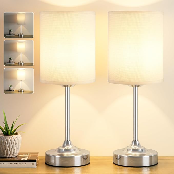 Touch Control Cordlss Table Lamp, USB-C Rechargeable Lamp with Stepless Dimming, 4000mAh Battery Operated Bedside Lamp for Bedroom, Living Room, Night Light & Emergency Lighting, Silver, 2 Pack