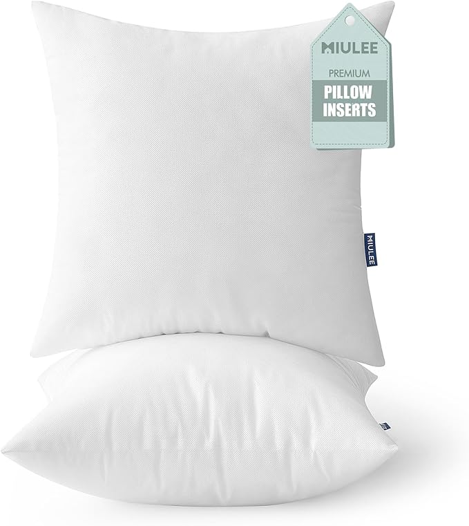 MIULEE Pillow Insert 20x20 Inch Set of 2 Decorative Throw Pillow Inserts | Premium Fluffy Pillow Forms Sham Stuffer for Sofa Couch Living Room
