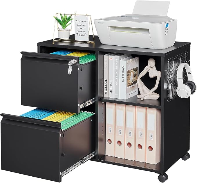 2-Drawer Metal File Cabinet with Lock, Mobile Lateral Filing Cabinet, Printer Stand with Adjustable Storage Shelves for Home Office (Black)
