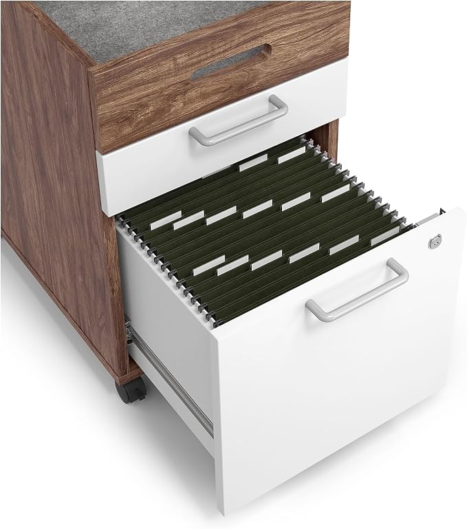 Union & Scale 2 Drawer Mobile File Cabinet, Rolling Printer Stand, Vertical Filing Cabinet, Office Drawers, Filing Cart for Home Office, A4/Letter Size, Black and Rustic Brown BFK20WJ01