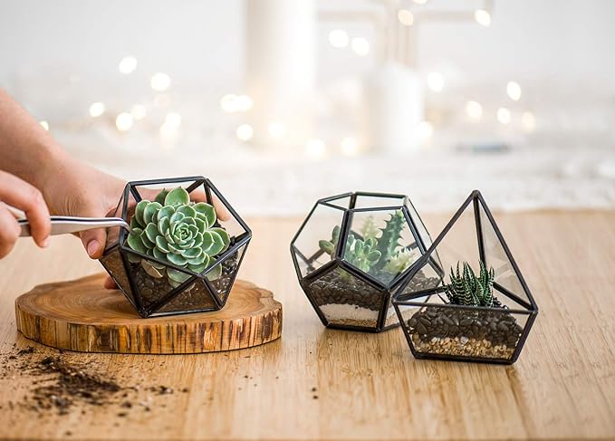 Mkono Artificial Succulent in 3 Pack Mini Glass Geometric Terrarium, Miniature Potted Faux Plant Bookshelf Desk Boho Office Room Decor for Women Girls Dorm Gift Idea, Black