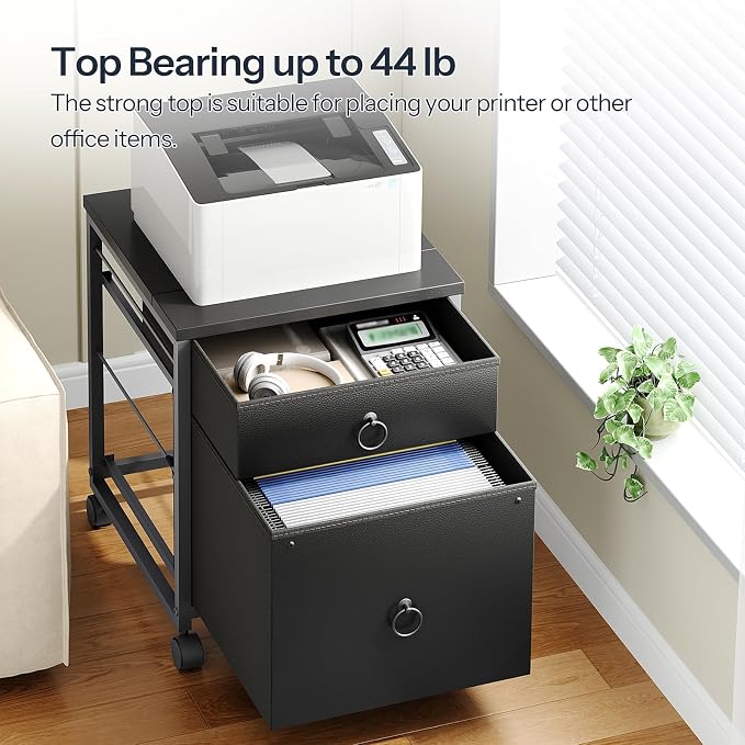 HOOBRO File Cabinet, 2-Drawer Vertical Mobile Office Cabinet, Rolling Printer Stand, for A4/Letter Size Files, Nonwovens Drawer, for Home Office, Black BB21WJ01