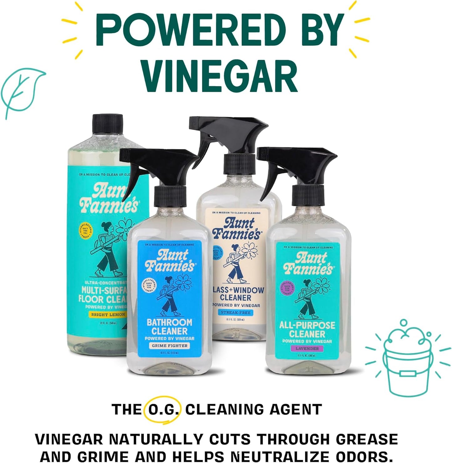 Aunt Fannie's Glass & Window Cleaning Vinegar Spray, Natural Streak-Free Spray, 16.9 Ounces (Pack of 1)