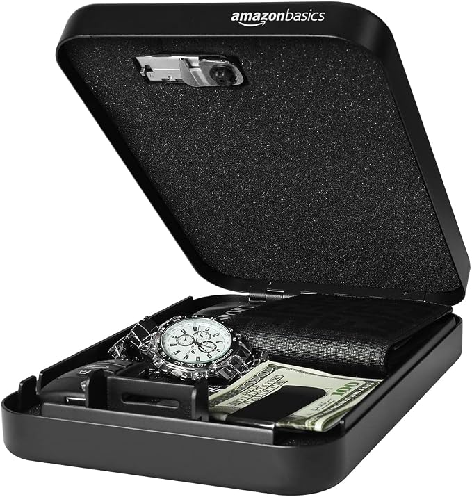 Amazon Basics Portable Security Case Lock Box Safe with Combination Lock for Documents, Valuables and Personal Items,Black, XXL (Pack of 4)
