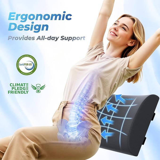Lumbar Support Pillow, Ergonomic Back Cushion for Office , Grey/X-Large | Memory Foam Back Pillow with Adjustable Strap for Long-Hour Sitting , Gaming Chair, Back Support for Pain Relief