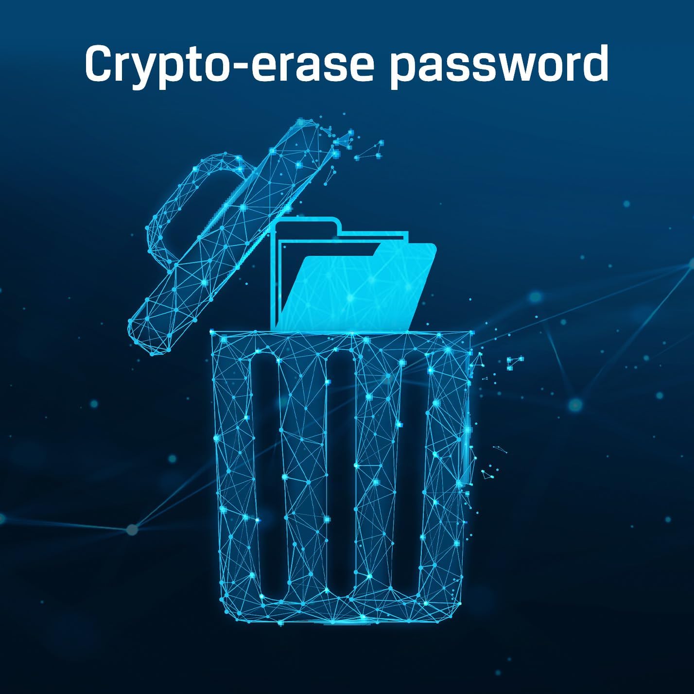 Kingston Ironkey D500S 512GB Encrypted Flash Drive | Dual Hidden Partition | FIPS 140-3 Level 3 | XTS-AES 256-bit | BadUSB and Brute Force Protection | Multi-Pin Option | IKD500S/512GB