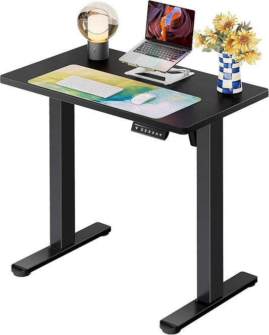 ErGear Height Adjustable Electric Standing Desk, 32 x 19 Inches Sit Stand up Desk, Memory Computer Home Office Desk, Black