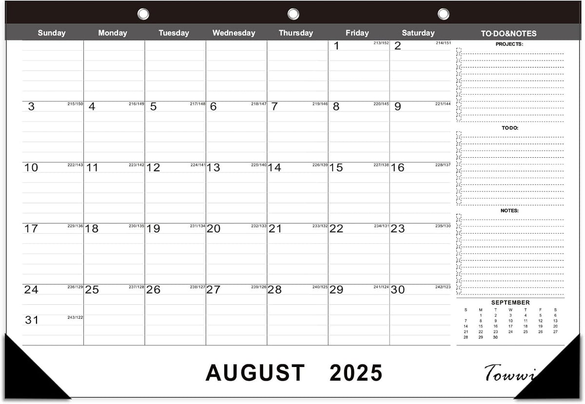 TOWWI 2025-2026 Desk Calendar, 17"x12" Desktop Monthly Calenda for Home, Office, Family with To-do List, Ruled Blocks, Corner Protectors