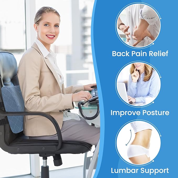 Lumbar Support Pillow for Office Chair, Back Support, Memory Foam, Light Blue
