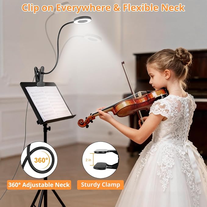 Woputne Desk Lamp Clip on Light for Bed Book Reading (Black) | 10 Dimmable Brightness 3 Light Modes Desk Lights for Home Office Clamp Bedside Lamp for Painting, Craft, Study