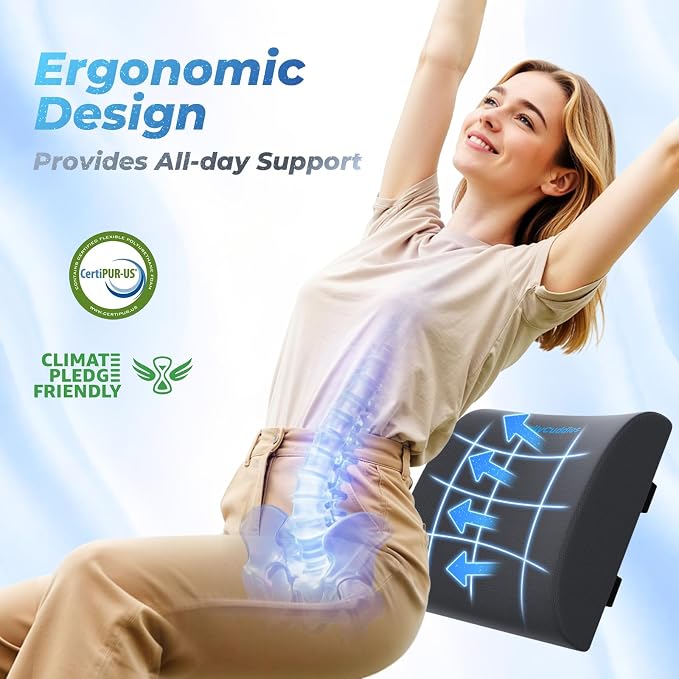 Lumbar Support Pillow, Ergonomic Back Cushion for Office Chair, Grey/Large | Memory Foam Back Pillow with Adjustable Strap for Long-Hour Sitting , Gaming Chair, Back Support for Pain Relief