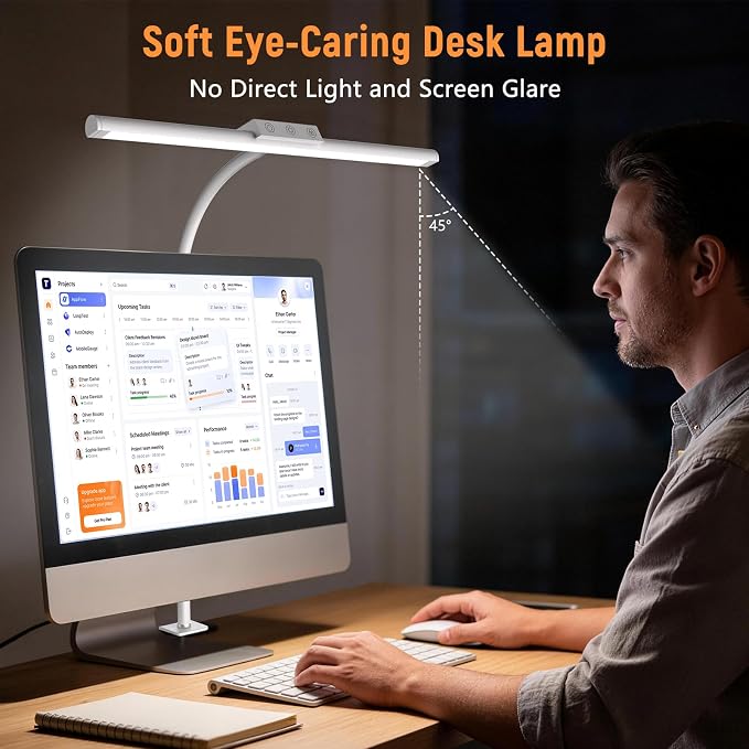 LED Desk Lamp for Home Office, Flexible Gooseneck Desk Lamp with Clamp, 5 Color Touch Control Stepless Dimming Adjustable Eye-Caring Desk Light with Adapter for Reading, Study, Workbench (White)