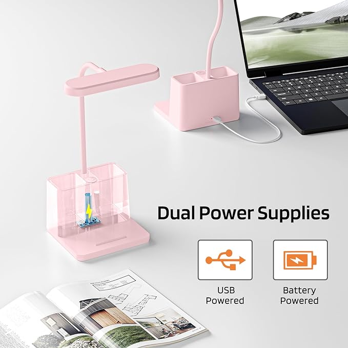 Cute Desk Lamp, Pink Table Light for Women, Teen Girls | LED, Small, Rechargeable, Battery Operated, Touch Control, Gooseneck, Home Office Accessories, College Dorm Essentials