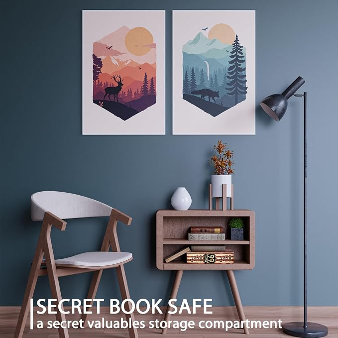 Diversion Book Safe with 4200°F Fireproof Money Bag and Combination Lock, 10.5" x 7.9" x 2.5" Fake Book Hidden Storage Safe, Hollow Secret Portable Metal Storage Box for Cash, Valuables