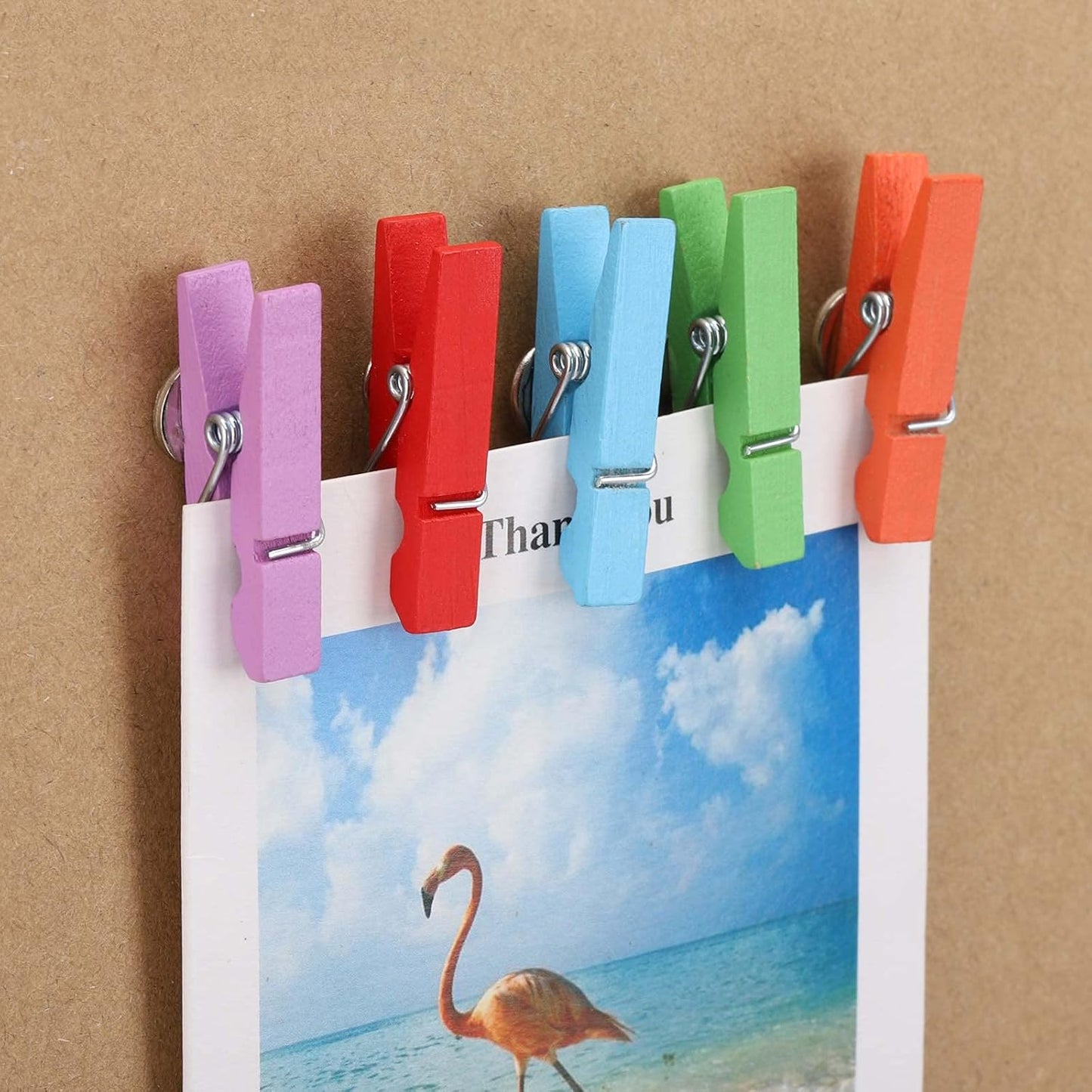 50Pcs Wooden Clips Push Pins Tacks for Cork Board Artwork for Crafts Arts Projects Photo Supplies(Colorful)