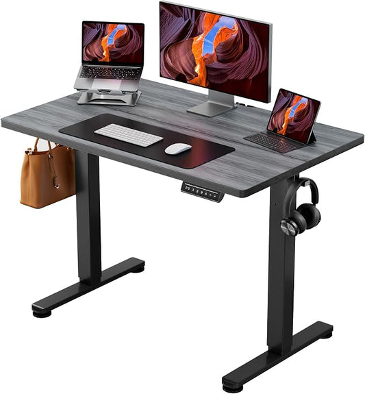 ErGear Height Adjustable Electric Standing Desk, 44 x 24 Inches Sit Stand up Desk, Memory Computer Home Office Desk, Grey