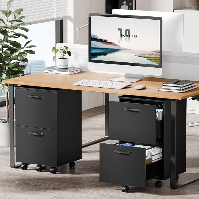 OLIXIS 2 Drawer File Cabinet, Printer Stand with Storage Cabinet | Wood Under Desk Storage Organization Holds Printer, Office Supplies, Not For Hanging Files, Fit Home Office Black