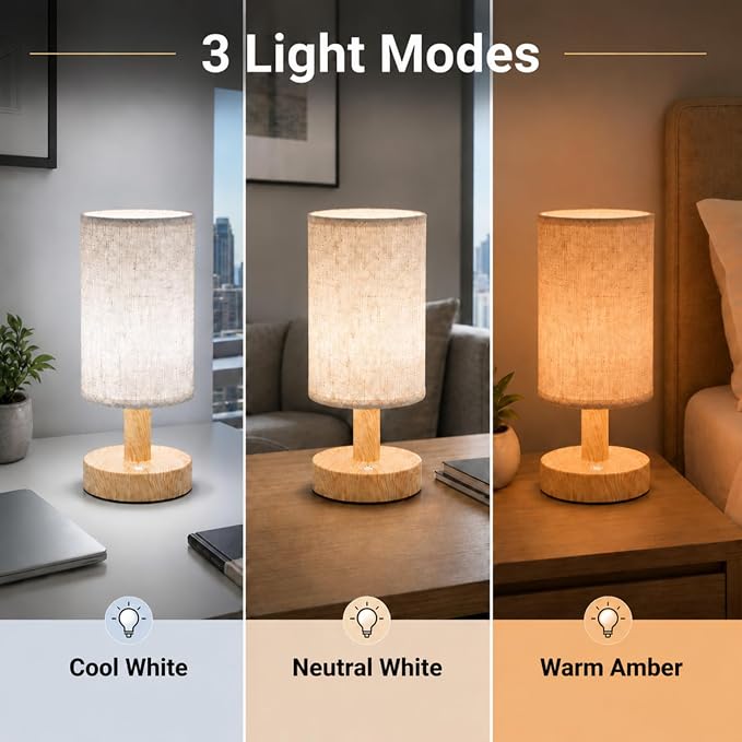 Mini Cordless LED Night Light, Rechargeable Touch Control Bedside Lamp | Portable Minimalist Table Lamp, 3 Color Modes, Stepless Dimmable, Built-in 4000mAh Battery, Decor for Bedroom & Living Room